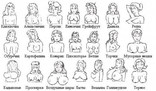 Женская грудь виды сосков
