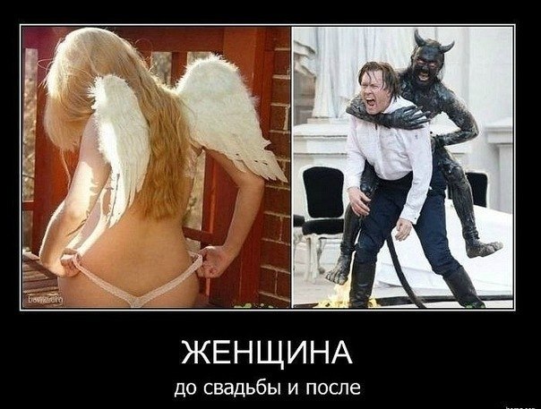Глава 15. ВИРУСНЫЕ ЗАБОЛЕВАНИЯ КОЖЛИЗИСТЫХ ОБОЛОЧЕК Гиппеаструм, часто задаваемые вопросы